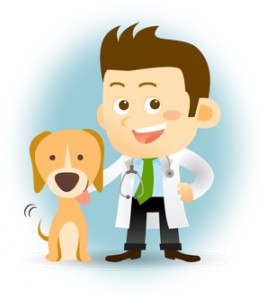 Limited Company Accountants for Locum Vets